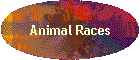 Animal Races